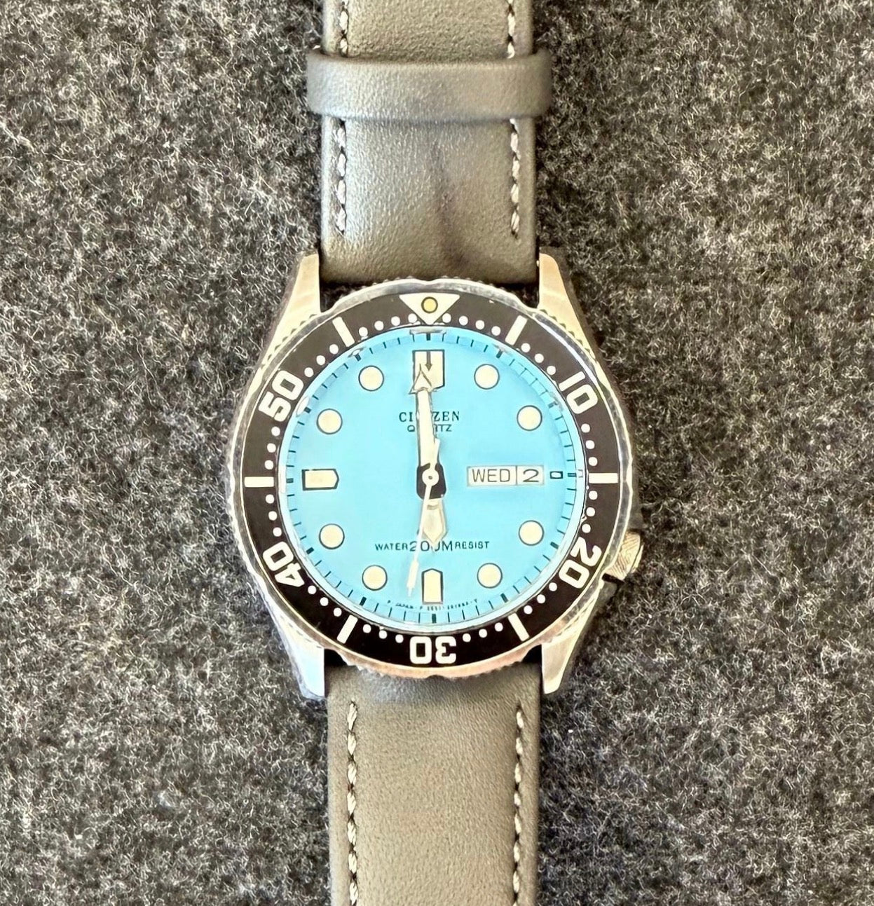 1995 Citizen Promaster Diver Quartz